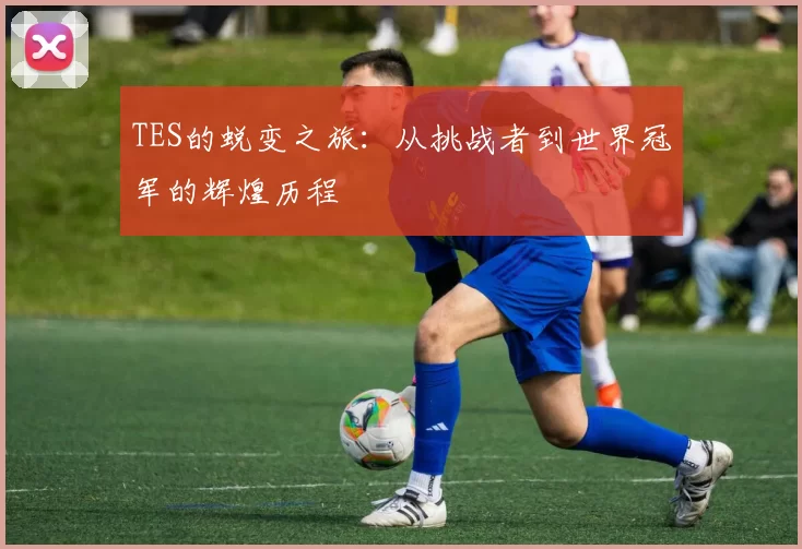 TES的蜕变之旅:从挑战者到世界冠军的辉煌历程