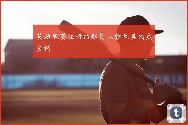 英超联赛注册的球员人数及其构成分析