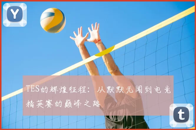 TES的辉煌征程：从默默无闻到电竞精英赛的巅峰之路