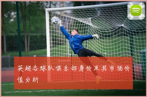 英超各球队俱乐部身价及其市场价值分析