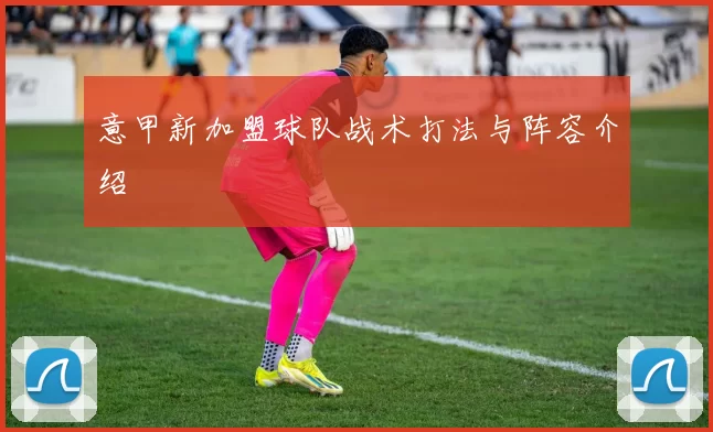 意甲新加盟球队战术打法与阵容介绍