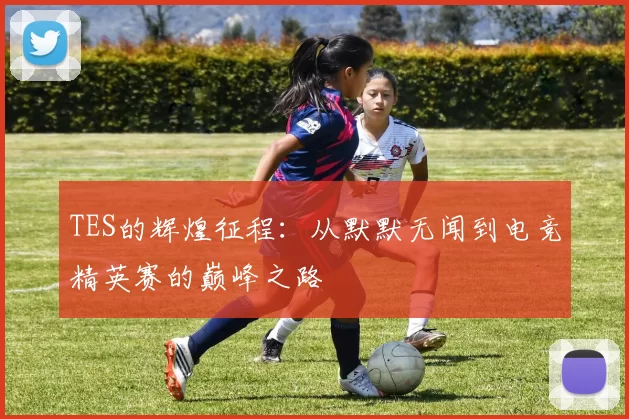 TES的辉煌征程：从默默无闻到电竞精英赛的巅峰之路