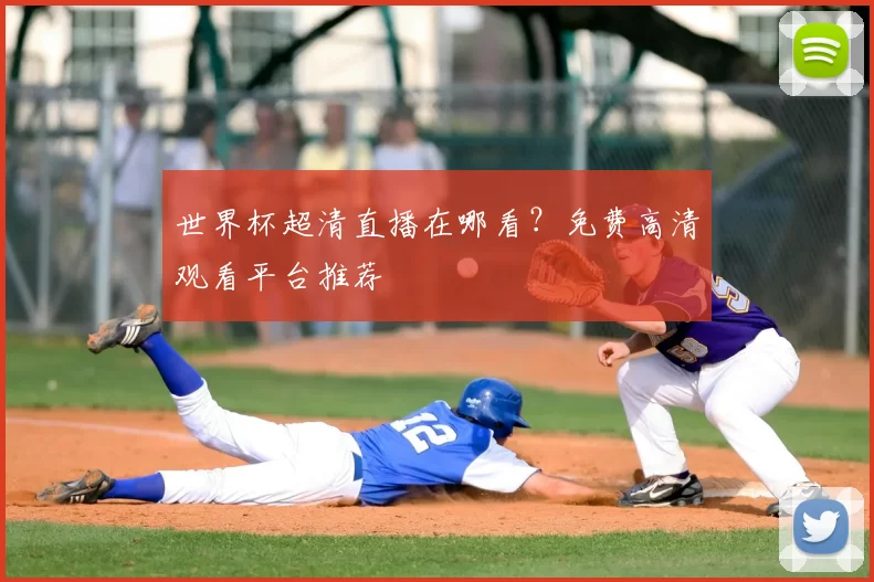 世界杯超清直播在哪看？免费高清观看平台推荐