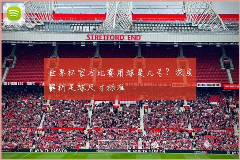世界杯官方比赛用球是几号?深度解析足球尺寸标准