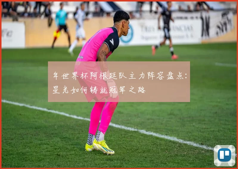 年世界杯阿根廷队主力阵容盘点:星光如何铸就冠军之路