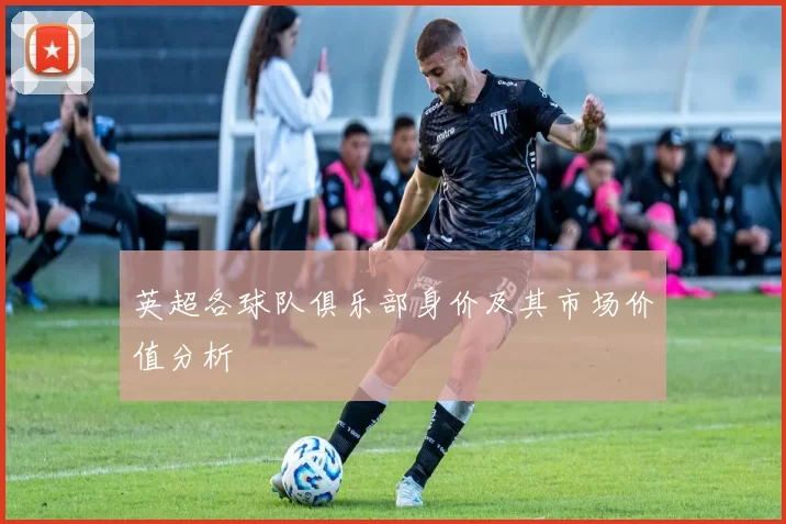 英超各球队俱乐部身价及其市场价值分析