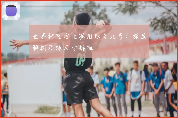 世界杯官方比赛用球是几号?深度解析足球尺寸标准