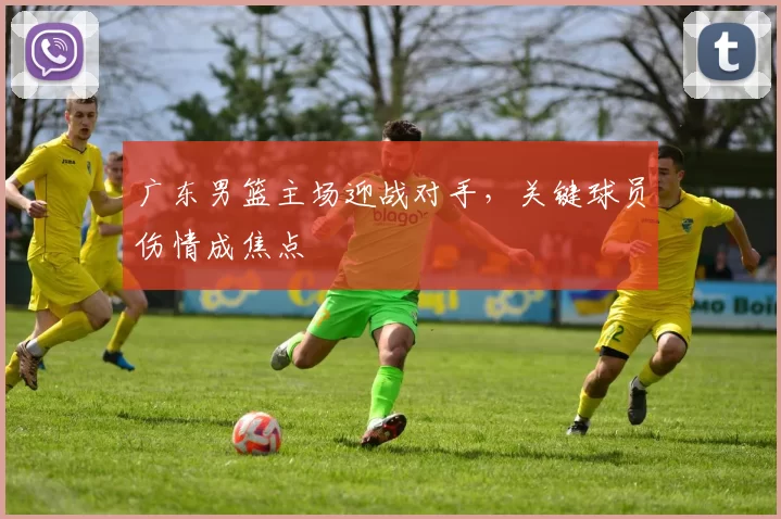 广东男篮主场迎战对手，关键球员伤情成焦点