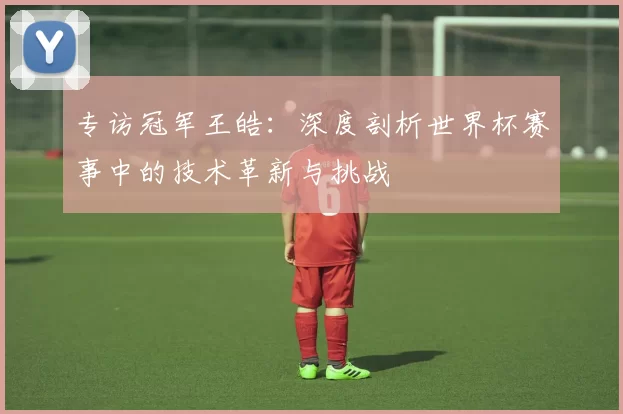 专访冠军王皓:深度剖析世界杯赛事中的技术革新与挑战